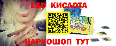 спайс Тара